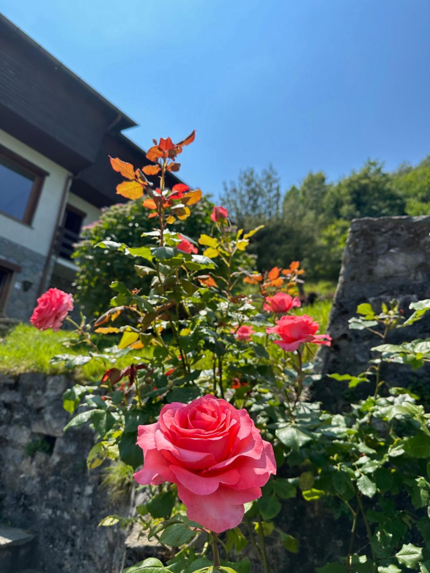Villa D'Alba Guest House Civenna Eksteriør billede